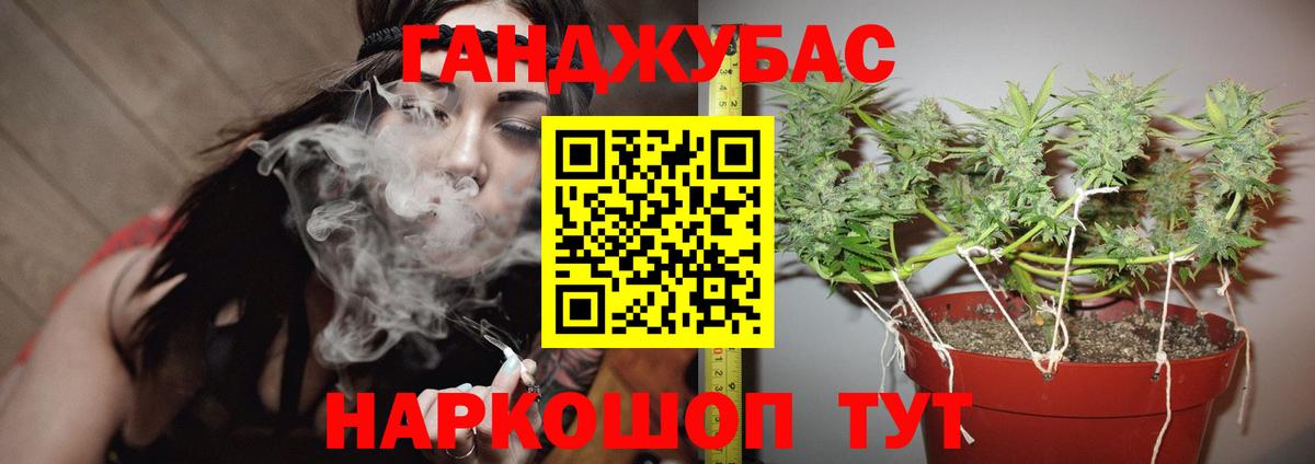 Коммунар  Бошки Шишки гибрид  Марихуана сатива  Вход с VPN 